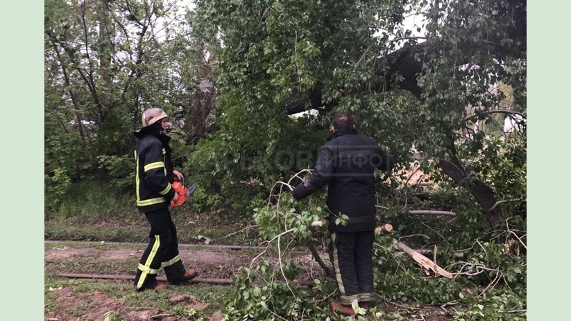 В течение суток спасатели Харьковщины 5 раз оказали помощь по уборке поваленных деревьев В течение суток спасатели Харьковщины 5 раз оказали помощь по уборке поваленных деревьев