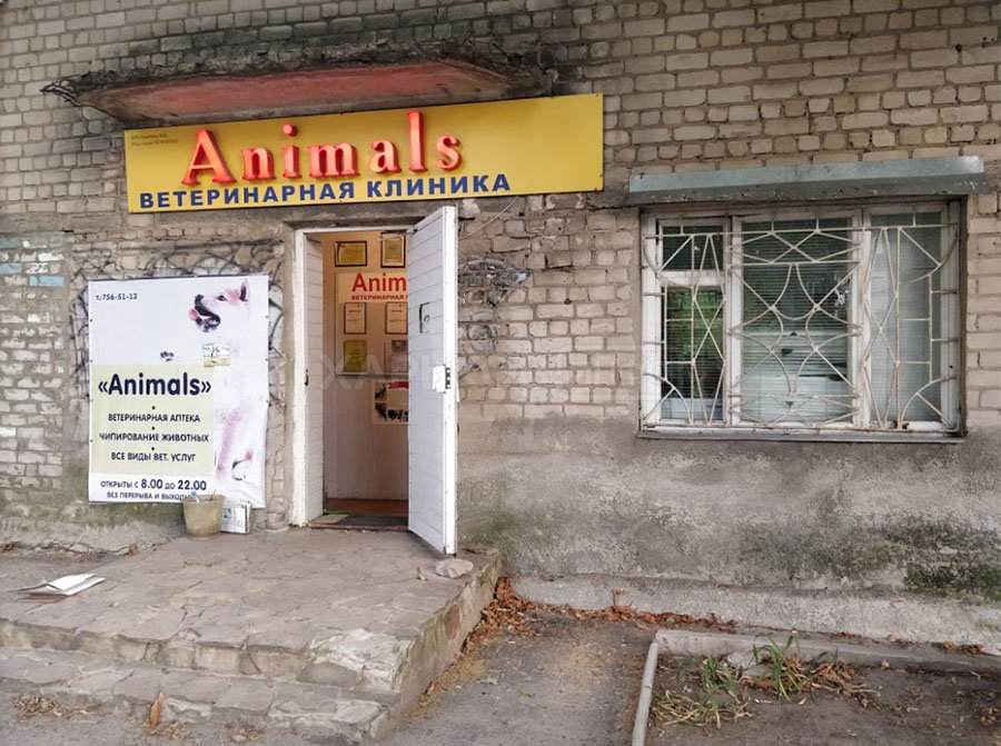 Animals – ветеринарная клиника по адресу 23 Августа, 20 А – отзывы ...