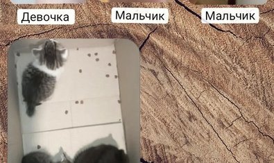 Фото к отзыву