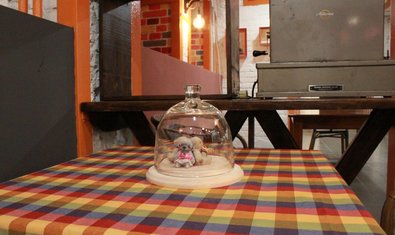 Кофейня «The Teddy Bar» Кофейня «The Teddy Bar»