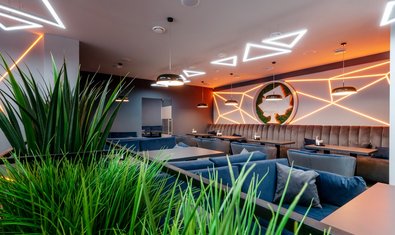 Lounge bar «Vector» Lounge bar «Vector»