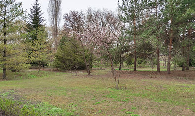 Ботанический сад НфаУ