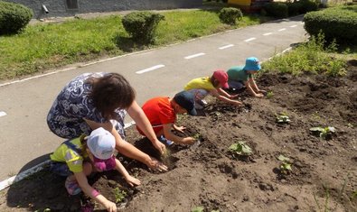 Детский сад № 182 (ясли-сад) Детский сад № 182 (ясли-сад)