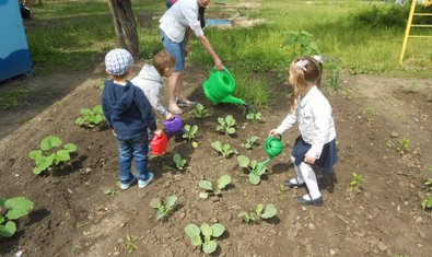 Детский сад № 223 (ясли-сад) Детский сад № 223 (ясли-сад)