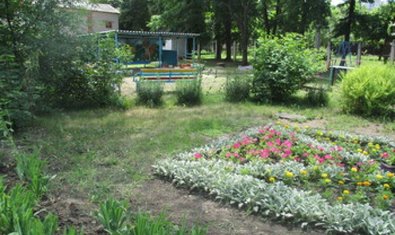 Детский сад № 223 (ясли-сад) Детский сад № 223 (ясли-сад)