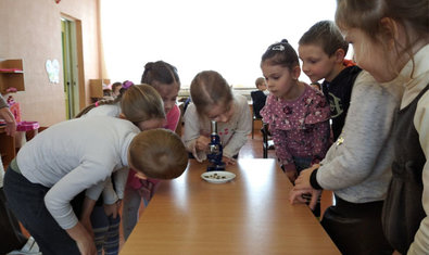 Детский сад № 242 (ясли-сад) Детский сад № 242 (ясли-сад)