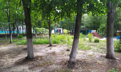 Детский сад № 28 (ясли-сад)