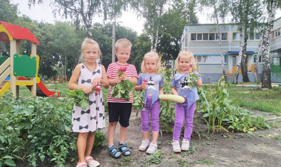 Детский сад № 282 (ясли-сад) Детский сад № 282 (ясли-сад)