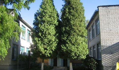 Детский сад № 292 (ясли-сад)