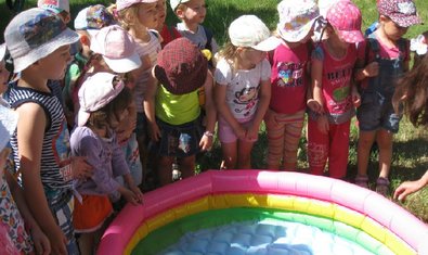 Детский сад № 309 (ясли-сад)