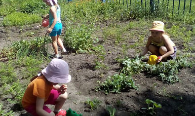 Детский сад № 336 (ясли-сад) Детский сад № 336 (ясли-сад)