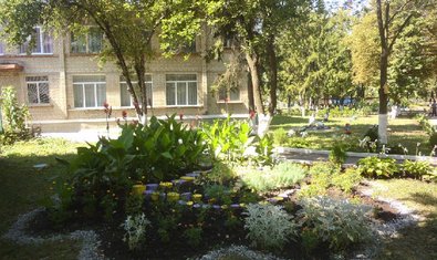 Детский сад № 348 (ясли-сад) Детский сад № 348 (ясли-сад)