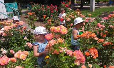 Детский сад № 411 (ясли-сад) Детский сад № 411 (ясли-сад)