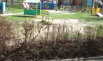 Детский сад № 437 (ясли-сад) Детский сад № 437 (ясли-сад)