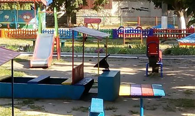 Детский сад № 439 (ясли-сад) комбинированного типа Детский сад № 439 (ясли-сад) комбинированного типа