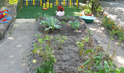 Детский сад № 44 (ясли-сад) Детский сад № 44 (ясли-сад)