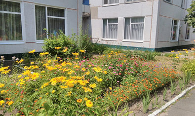 Детский сад № 464 Детский сад № 464