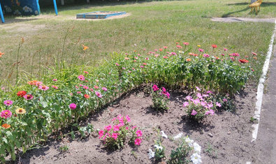 Детский сад № 464 Детский сад № 464