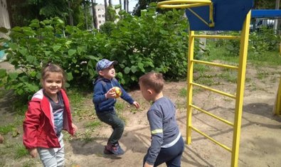 Детский сад № 55 (ясли-сад)