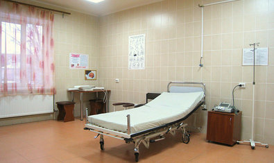 Харьковский городской клинический родильный дом № 7 Харьковский городской клинический родильный дом № 7