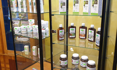 Аптека Лекарственные растения