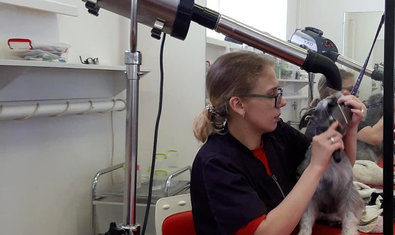 Груминг-салон «Иная Красота» Груминг-салон «Иная Красота»