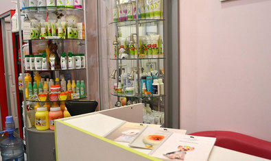 Груминг-салон «Мастерская грумера» Груминг-салон «Мастерская грумера»