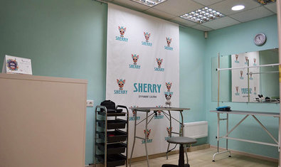 Груминг-салон «Sherry» Груминг-салон «Sherry»