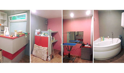 Груминг-салон «SkyGroom» Груминг-салон «SkyGroom»