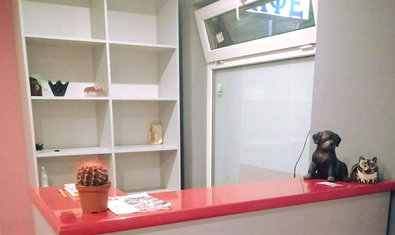 Груминг-салон «SkyGroom» Груминг-салон «SkyGroom»