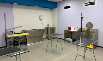 Груминг-салон «WOW»