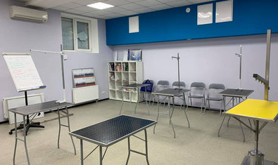 Груминг-салон «WOW»