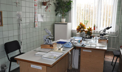 Клинико-диагностическая лаборатория Клинико-диагностическая лаборатория