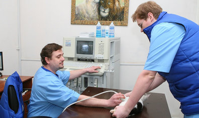 Харьковский ветеринарный госпиталь