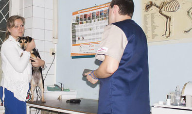 Харьковский ветеринарный госпиталь