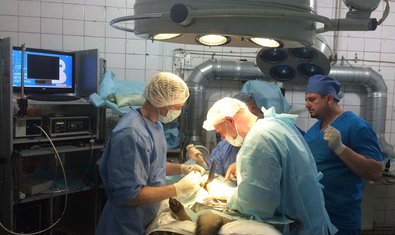 Харьковский ветеринарный госпиталь