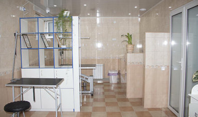 Харьковский ветеринарный госпиталь