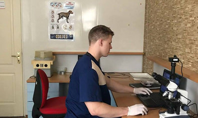 Холодногорская ветеринарная клиника