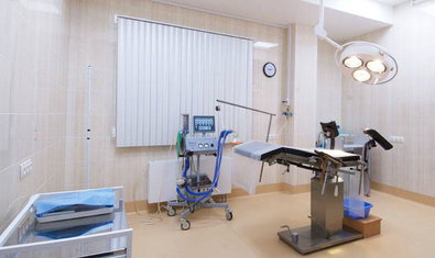 Клиника профессора Феськова Клиника профессора Феськова