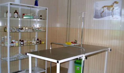 Социальный ВЕТЦЕНТР