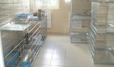 Социальный ВЕТЦЕНТР