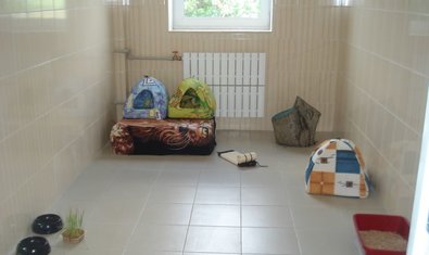 Социальный ВЕТЦЕНТР