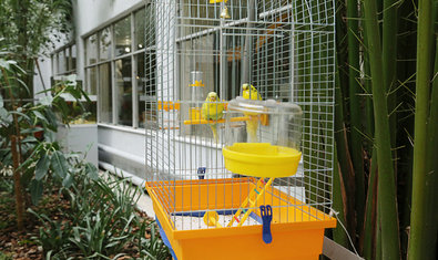 Зимний сад Института Зимний сад Института