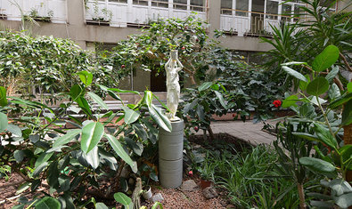 Зимний сад Института Зимний сад Института