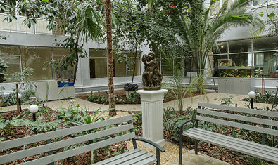 Зимний сад Института Зимний сад Института