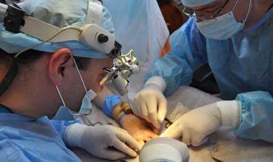 Региональный центр хирургии кисти в ХГКБ №31 Региональный центр хирургии кисти в ХГКБ №31