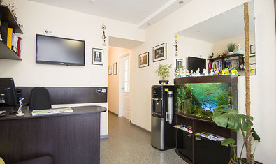 Стоматология Руцкого