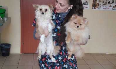 Ветеринарная клиника «38, 8» Ветеринарная клиника «38, 8»