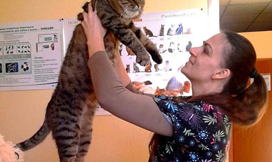 Ветеринарная клиника «38, 8» Ветеринарная клиника «38, 8»