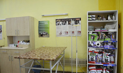 Ветеринарная клиника «4 лапы»